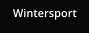 Wintersport